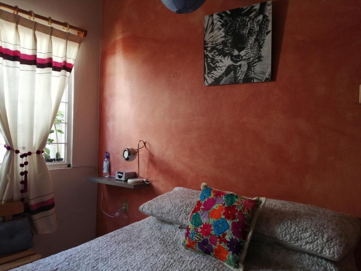 Casa Mixteca Santo Domingo Oaxaca Villa Exteriör bild
