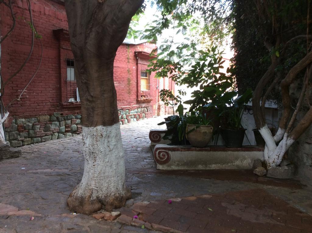 Casa Mixteca Santo Domingo Oaxaca Villa Exteriör bild
