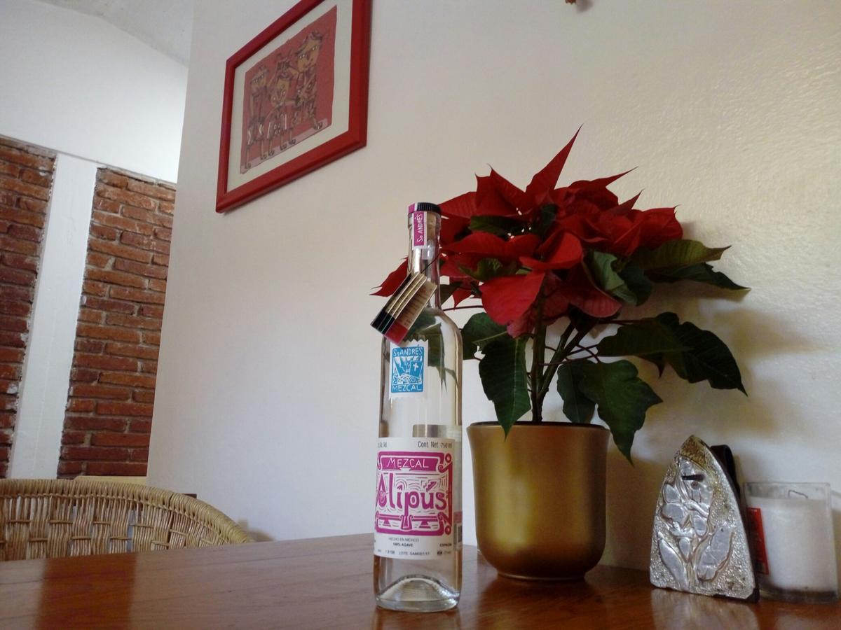 Casa Mixteca Santo Domingo Oaxaca Villa Exteriör bild